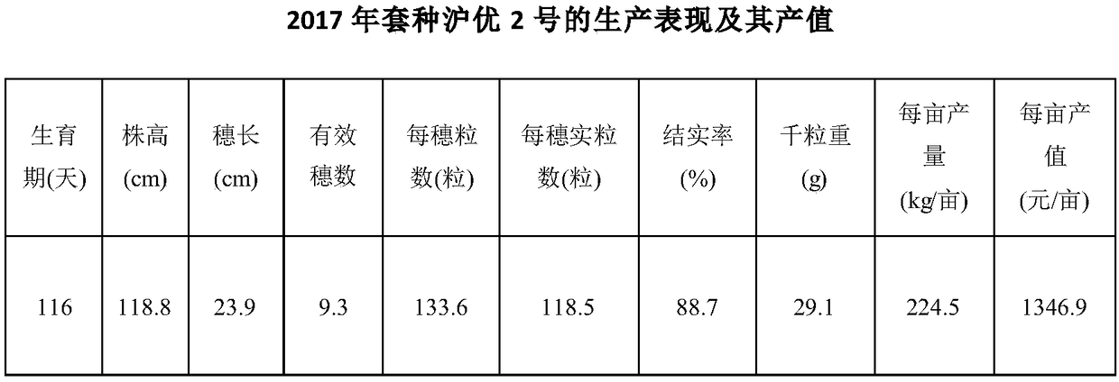 Cultivation method of interplanting water-saving drought-resistant rice in blueberries