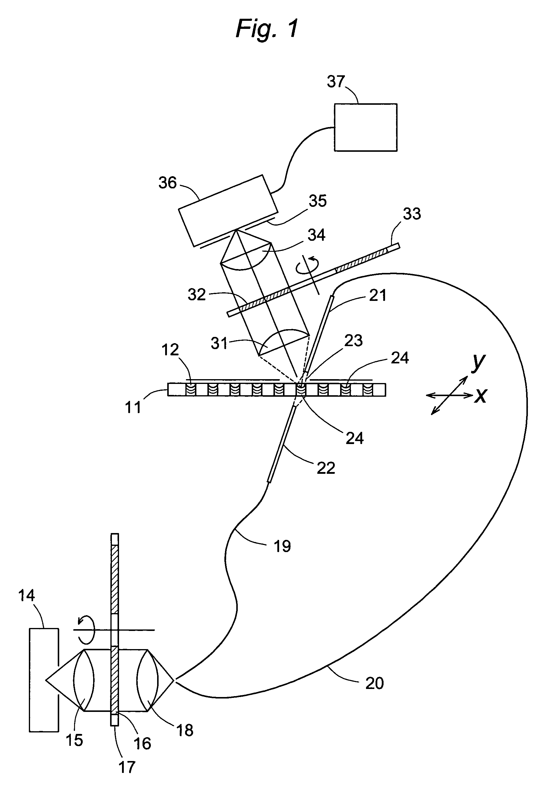 Biochemical assay detection in a liquid receptacle using a fiber optic exciter