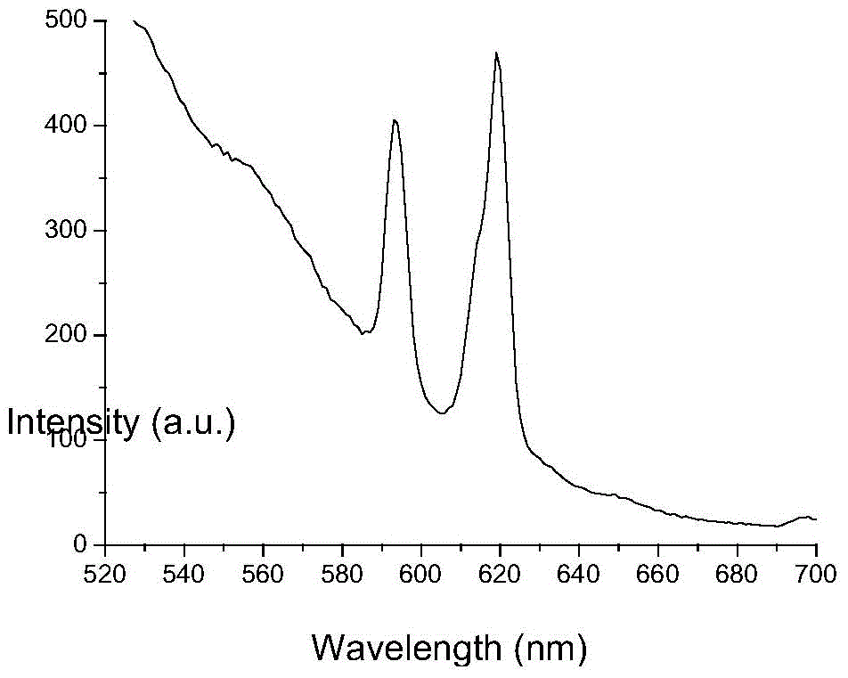 Anti-counterfeit ink composition and application thereof that can be used for forensic identification