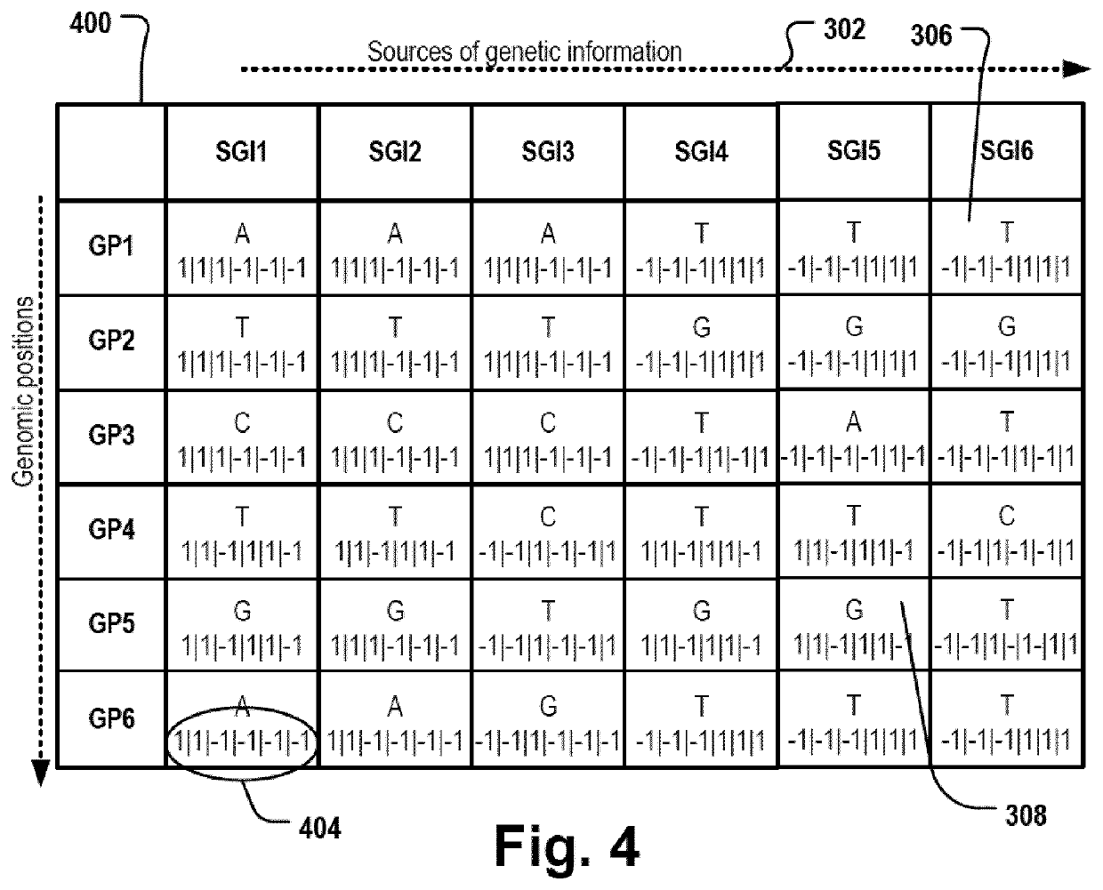 Vector-based haplotype identification