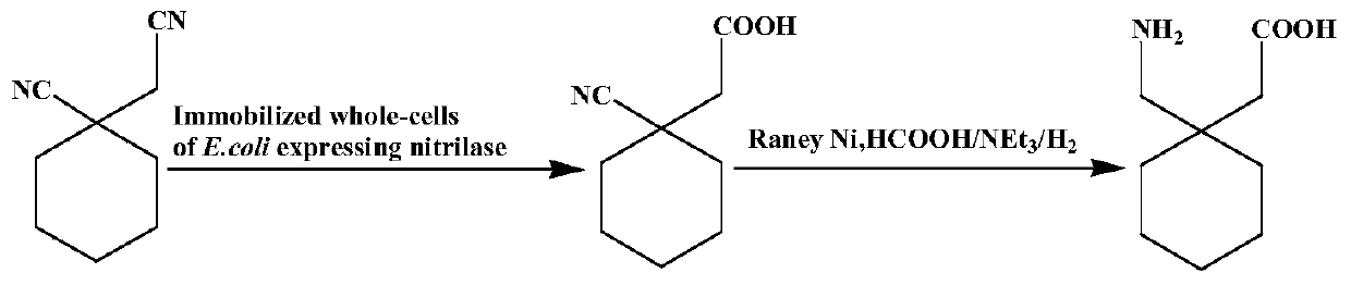 Utilize the method for directly synthesizing gabapentin with 1-cyano cyclohexyl acetic acid