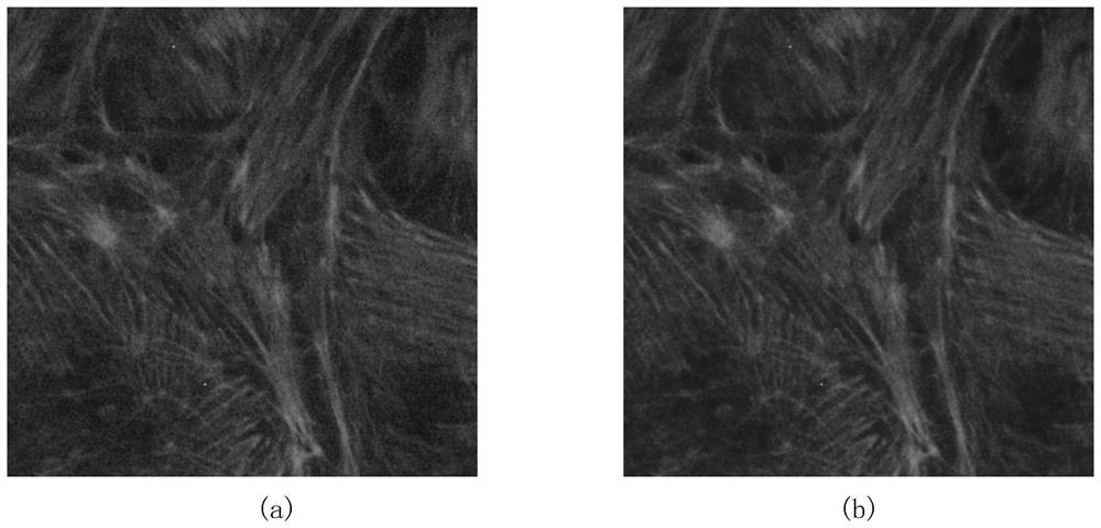 Unsupervised image denoising method based on uncertainty perception