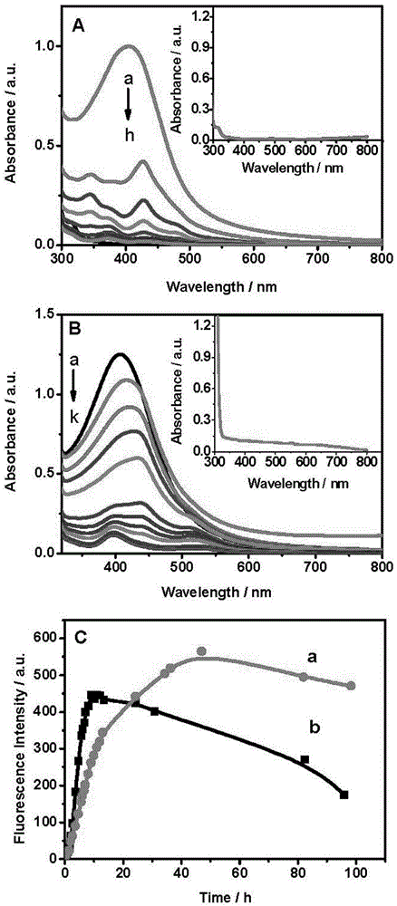 A method for synthesizing silver nanoclusters using single-stranded DNA as a template