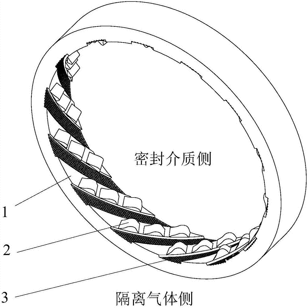 Carbocycle sealing structure similar to surface texture of dorsal carapaces of desert beetles