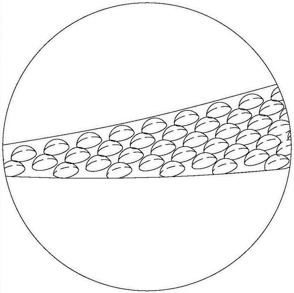 Carbocycle sealing structure similar to surface texture of dorsal carapaces of desert beetles