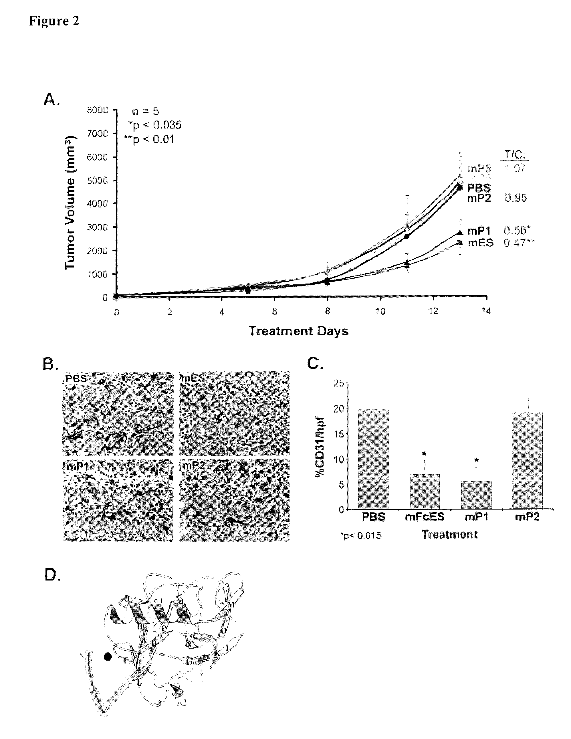 Anti-angiogenic peptides for treating or preventing endometriosis