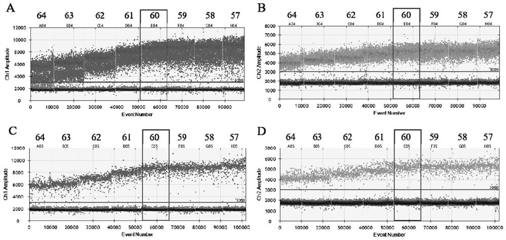 PMA-dual ddPCR-based quantitative detection method for vibrio parahaemolyticus