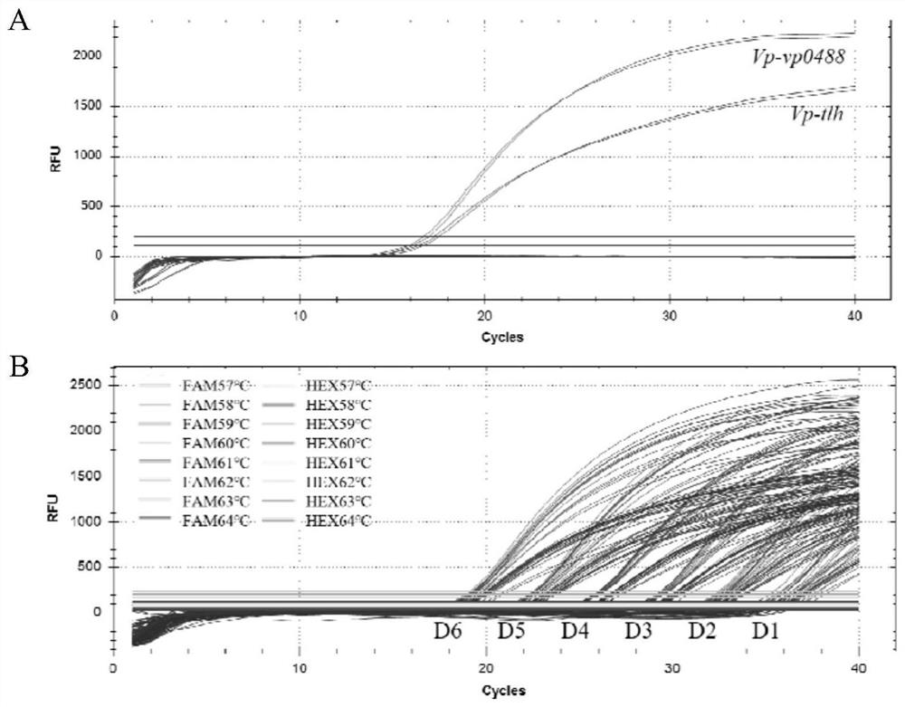 PMA-dual ddPCR-based quantitative detection method for vibrio parahaemolyticus