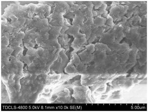 Natural polymer modified functional air filtering material and preparation method thereof