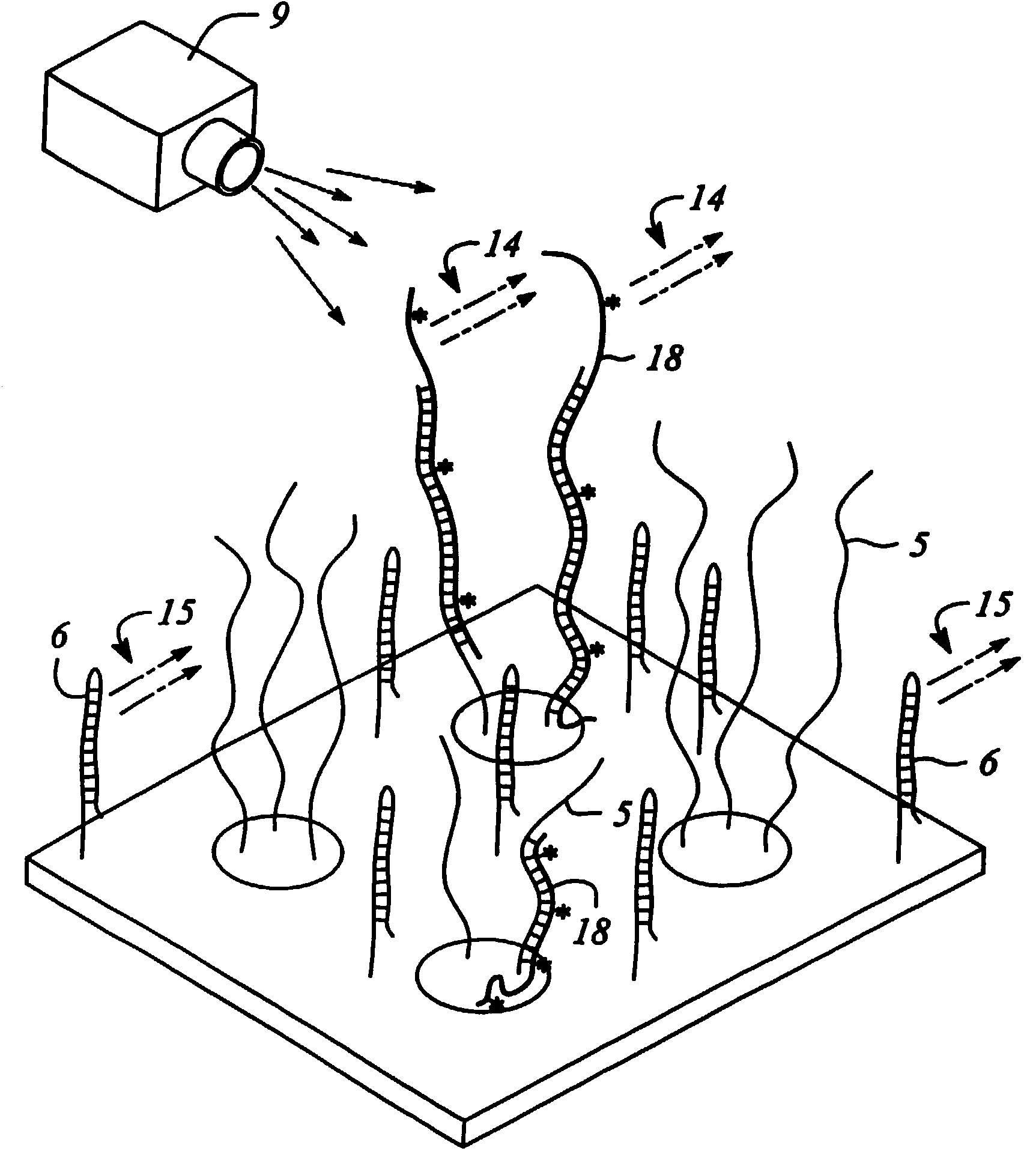 Micro arrays with structured and unstructured probes