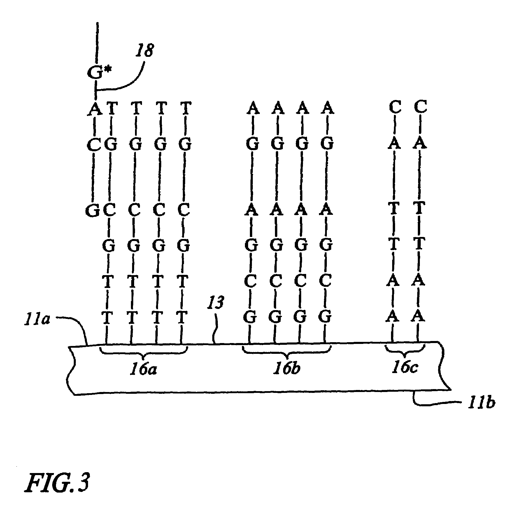 Micro arrays with structured and unstructured probes