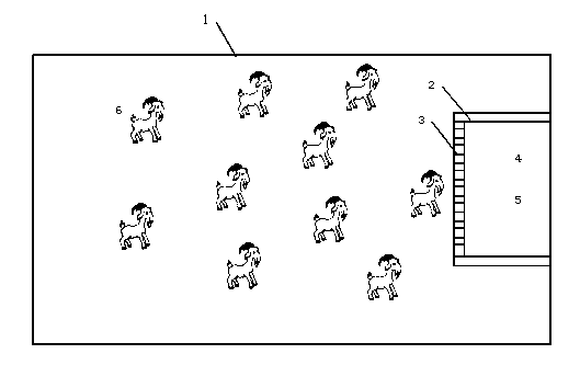 Method for managing free-ranging sheep in yard by using computer program