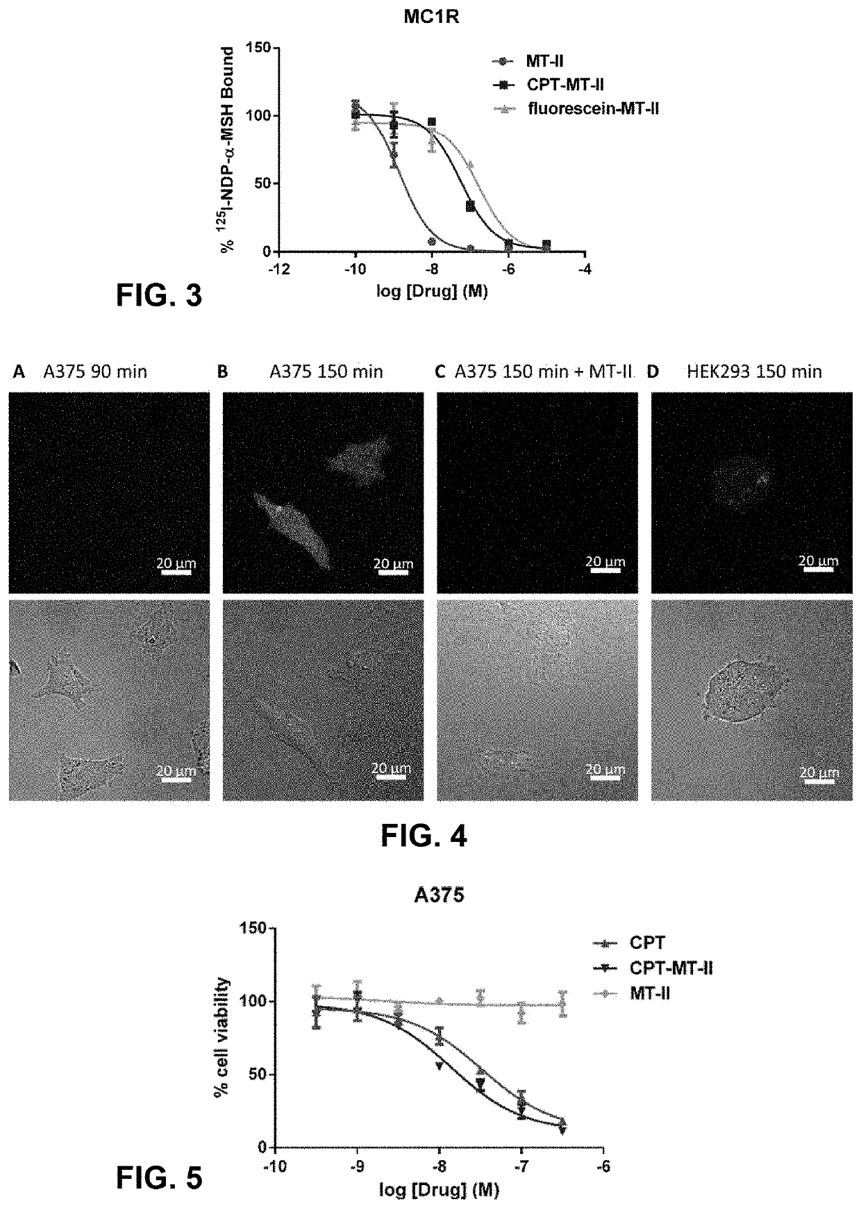 Conjugation of mcr1 ligand with cytotoxic drugs for treating skin cancer