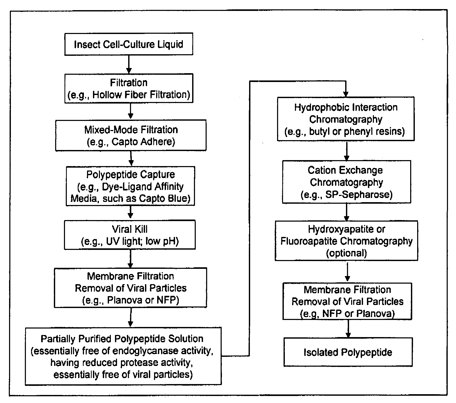 Manufacturing process for the production of polypeptides expressed in insect cell-lines