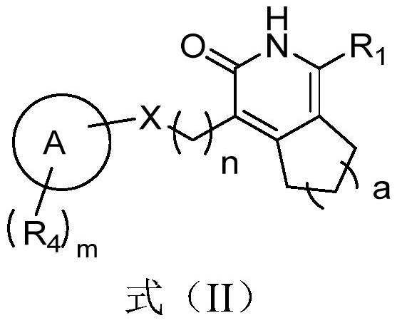 Pyridone derivative and application thereof in preparation of medicine for preventing and/or treating tuberculosis caused by mycobacterium tuberculosis