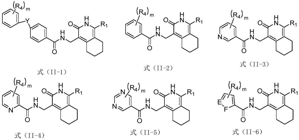 Pyridone derivative and application thereof in preparation of medicine for preventing and/or treating tuberculosis caused by mycobacterium tuberculosis