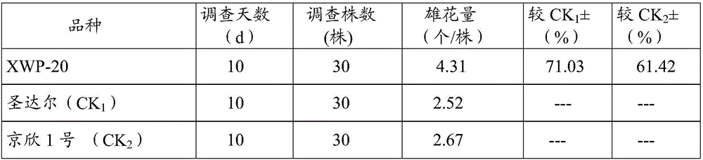 Breeding method and application method of citrullus lanatus special pollinating variety