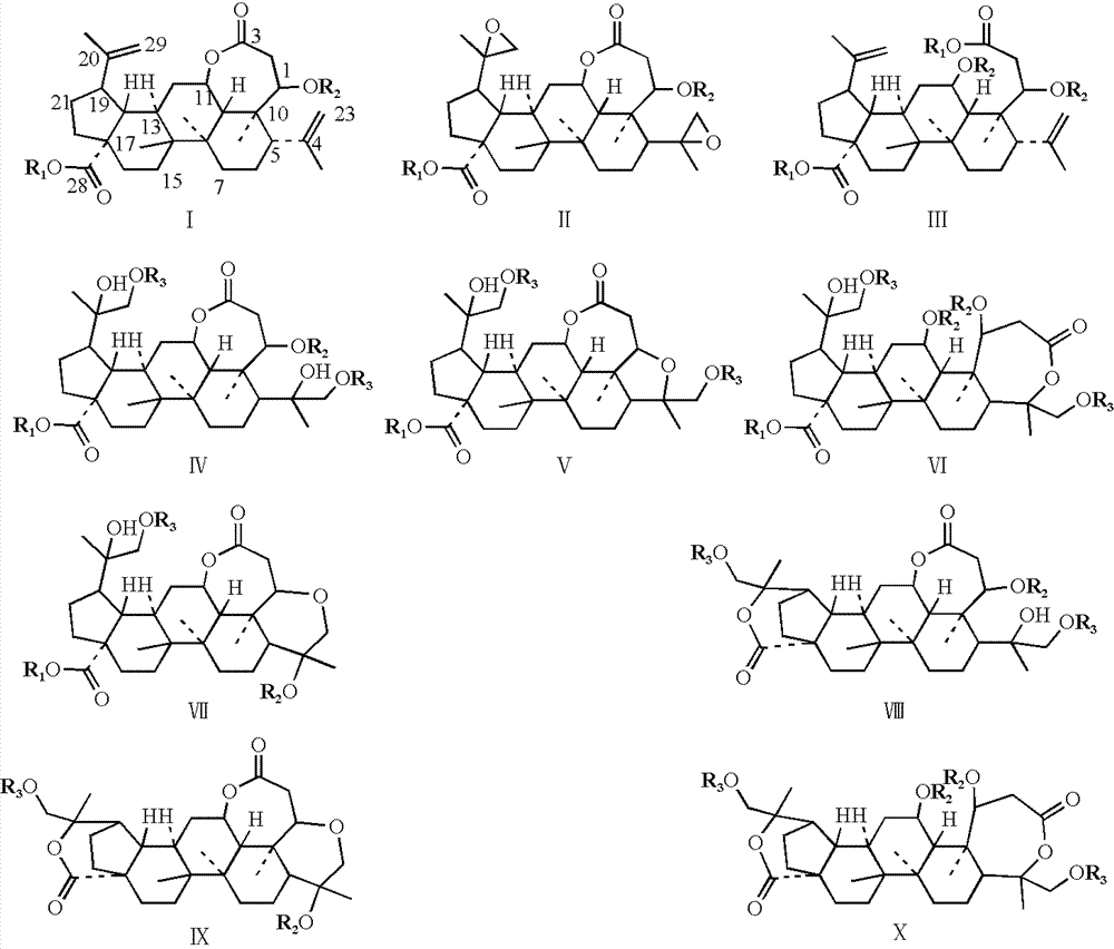 Split-ring lupinane derivatives and medicinal application thereof