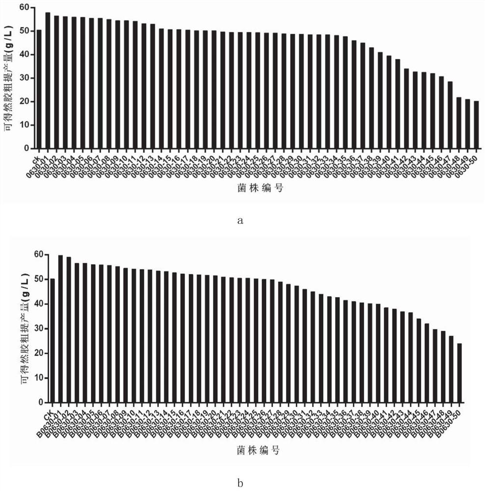 A method for improving the screening efficiency of high-yielding strains of keratin