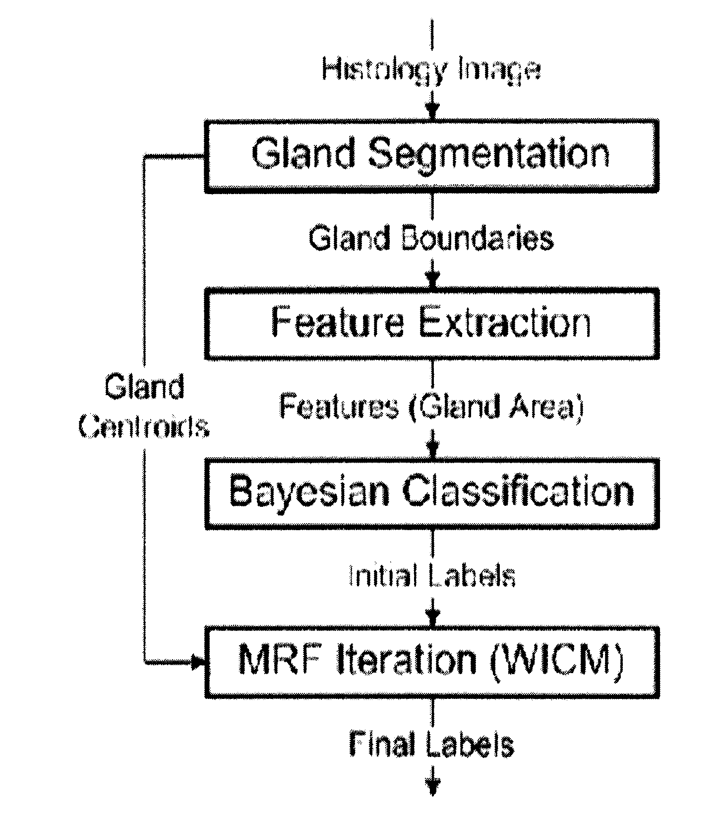 System and method for accurate and rapid identification of diseased regions on biological images with applications to disease diagnosis and prognosis