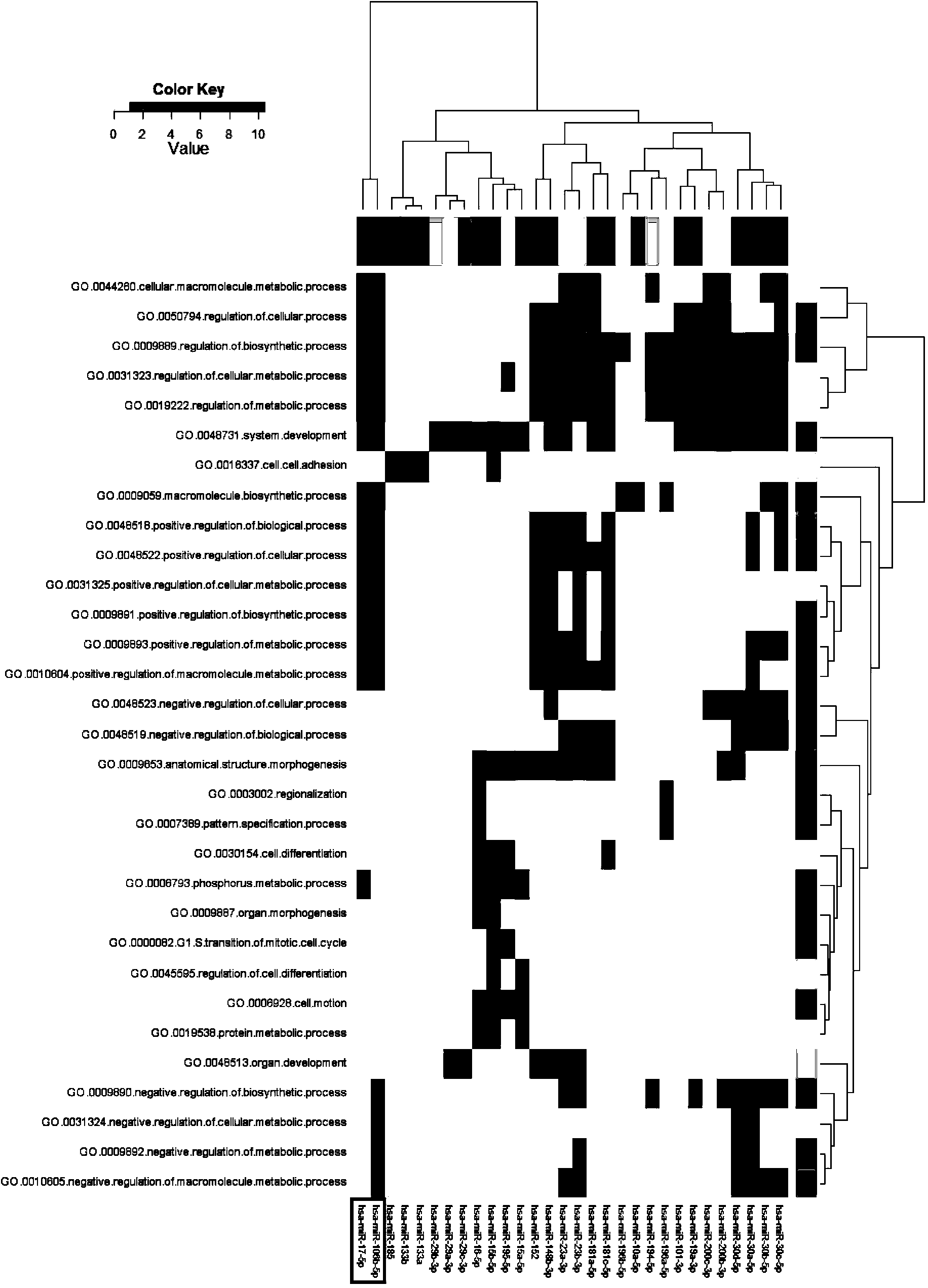 Analysis method and application of differently expressed miRNA of kidney tissue of primary IgA nephropathy