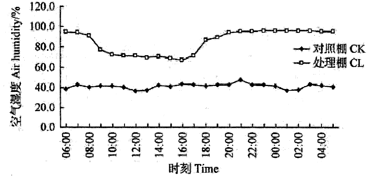 Method for improving soil physical and chemical properties of continuous cropping crops in greenhouse