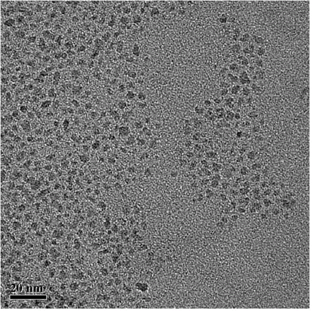 Monodisperse transition metal nanocatalyst for Fischer-Tropsch synthesis as well as preparation method and application thereof