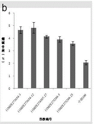 Method for rapidly screening high-nicotine tobacco mutants