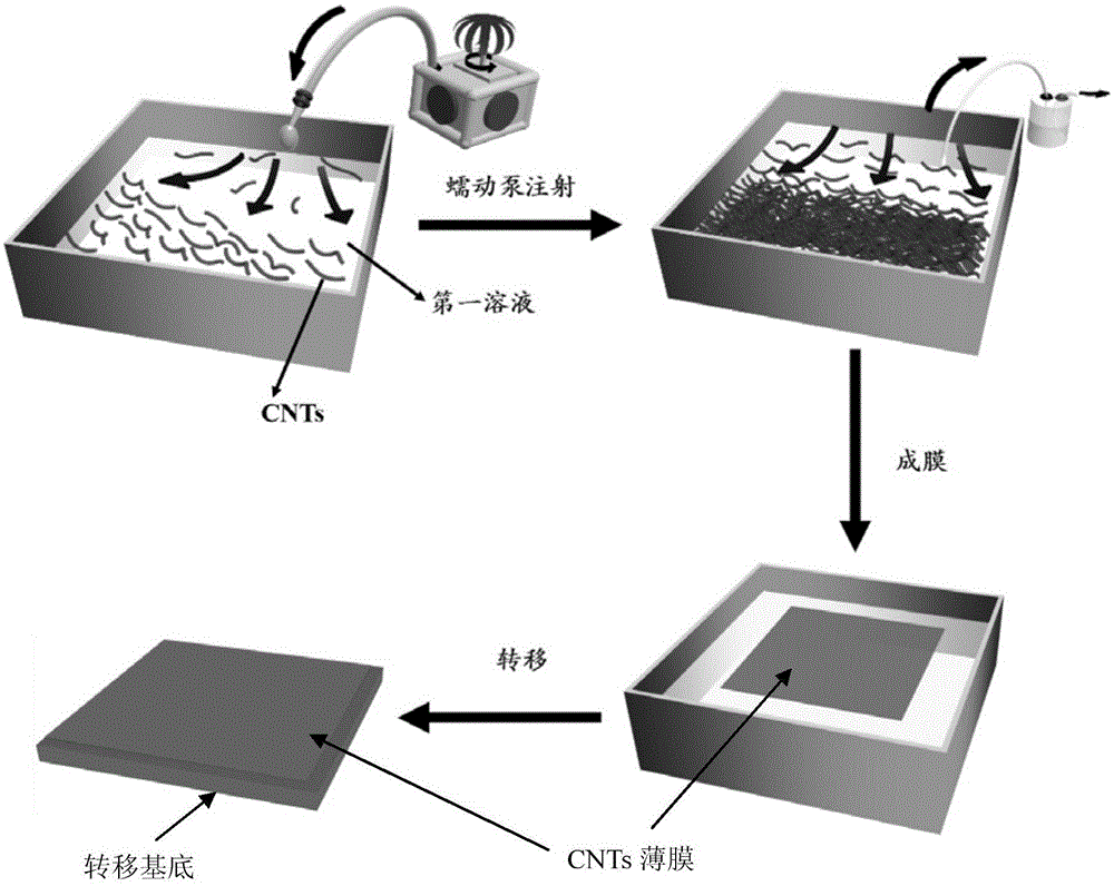 Self-supported ultra-thin transparent conductive carbon nanotube film and preparation method and application thereof