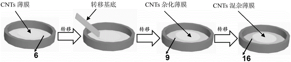 Self-supported ultra-thin transparent conductive carbon nanotube film and preparation method and application thereof