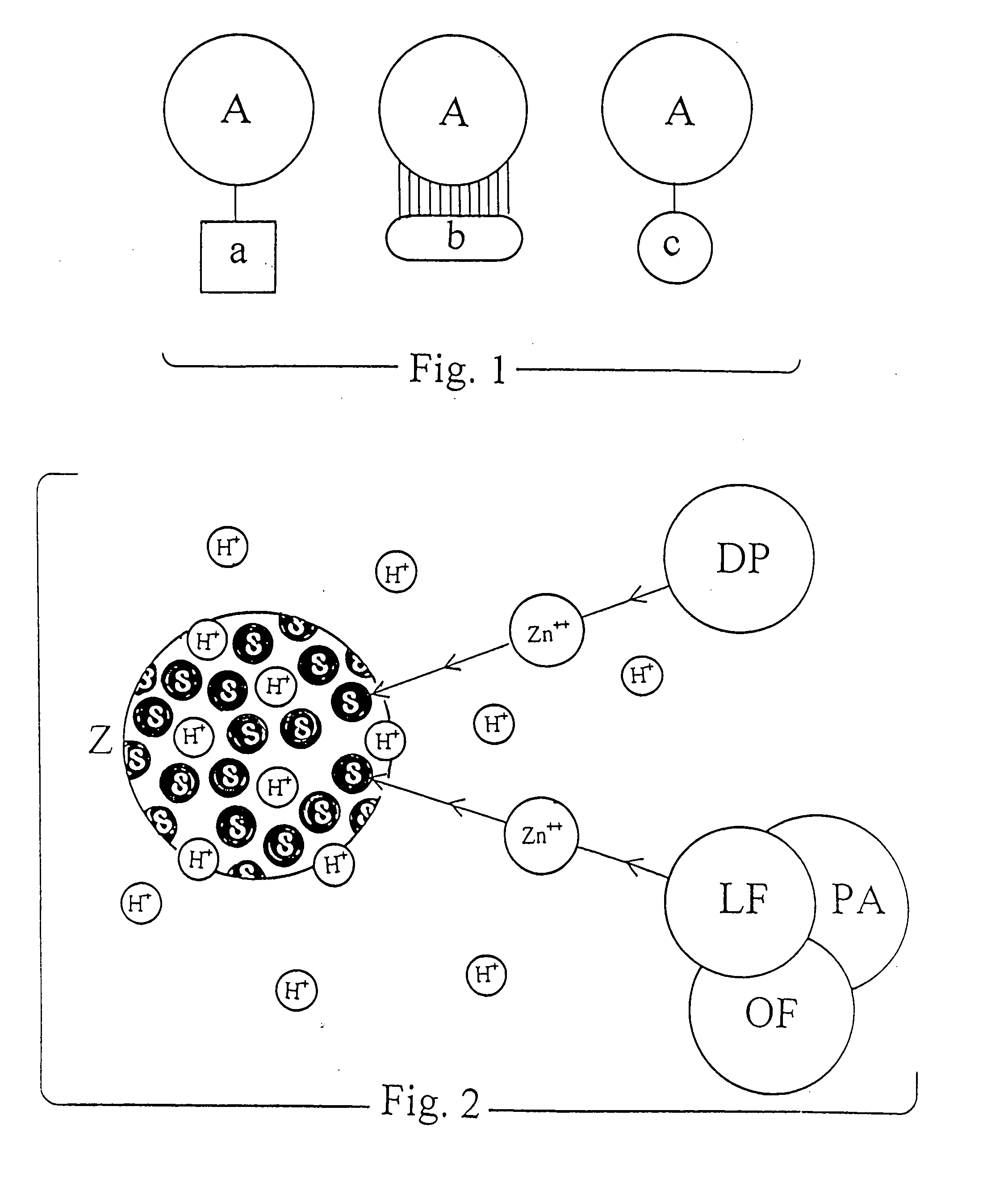 Zeolitic compositions inhibiting bacillus anthracis toxins