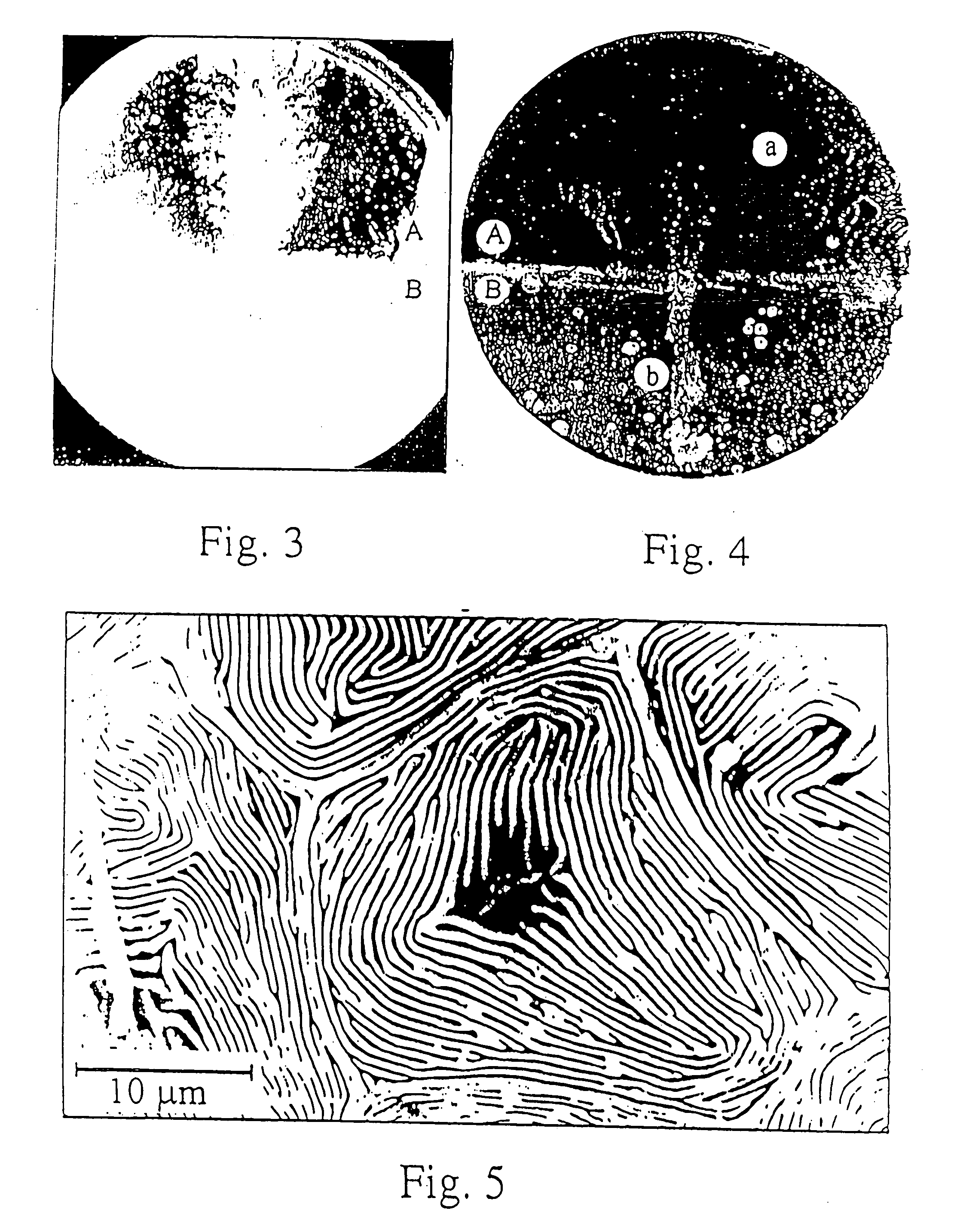 Zeolitic compositions inhibiting bacillus anthracis toxins