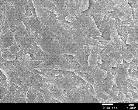 Polyaryletherketone nano composite material and preparation method thereof