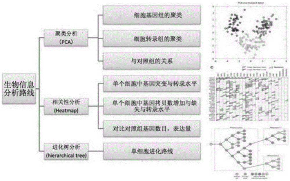 Method for library construction and sequencing for both single cell genome and transcriptome, sequencing method based on single cell integrated genomics (SCIG), and application of sequencing method