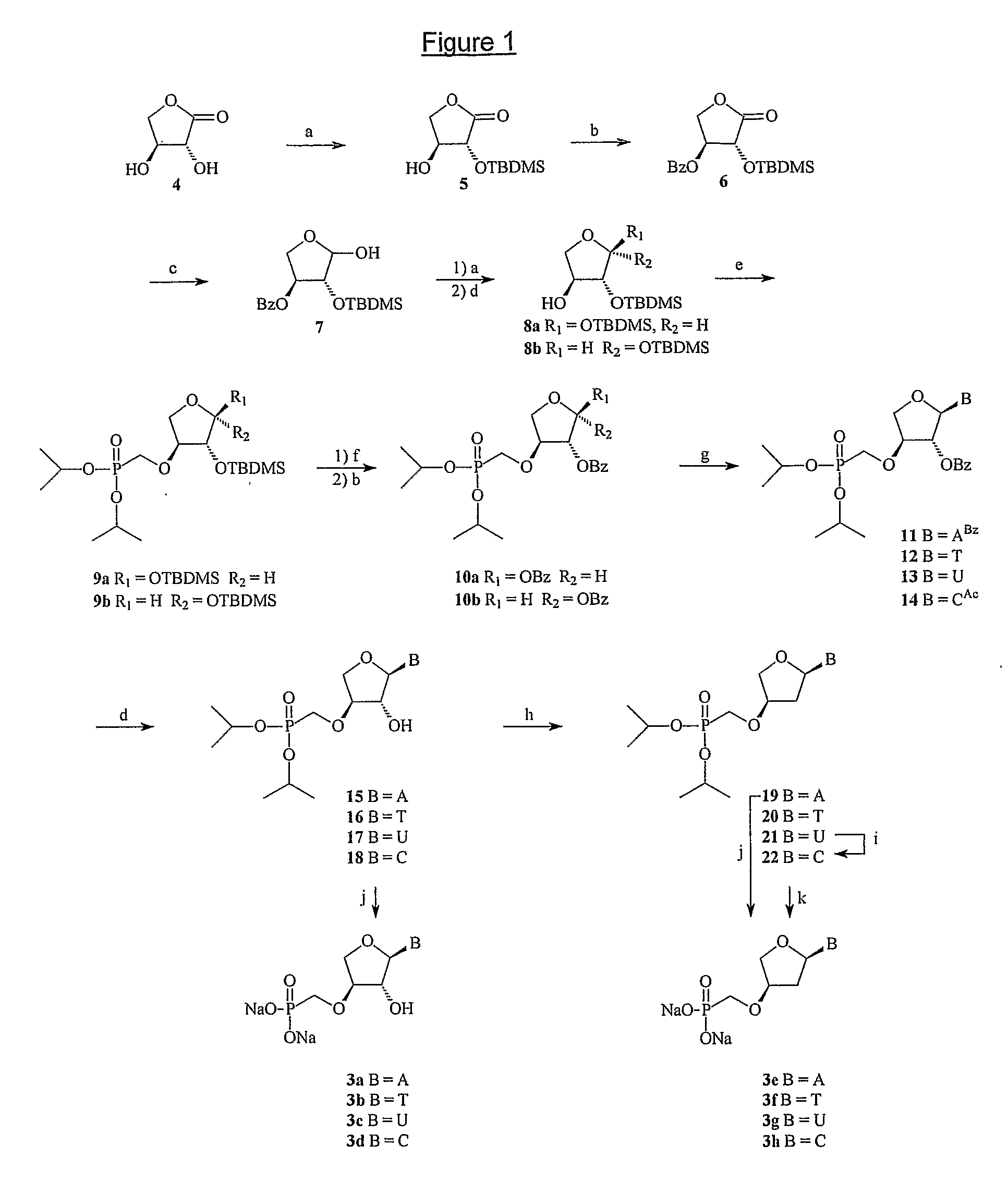 Phosponate nucleosides useful as active ingredients in pharmaceutical compositions for the treatment of viral infections, and intermediates for their production