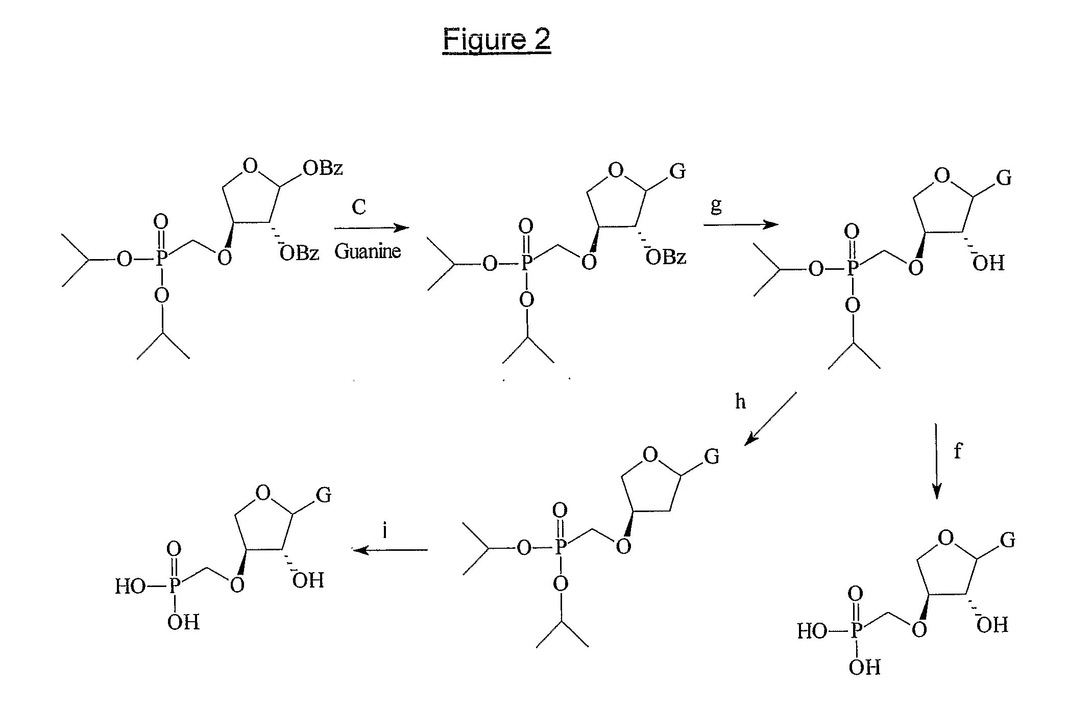 Phosponate nucleosides useful as active ingredients in pharmaceutical compositions for the treatment of viral infections, and intermediates for their production