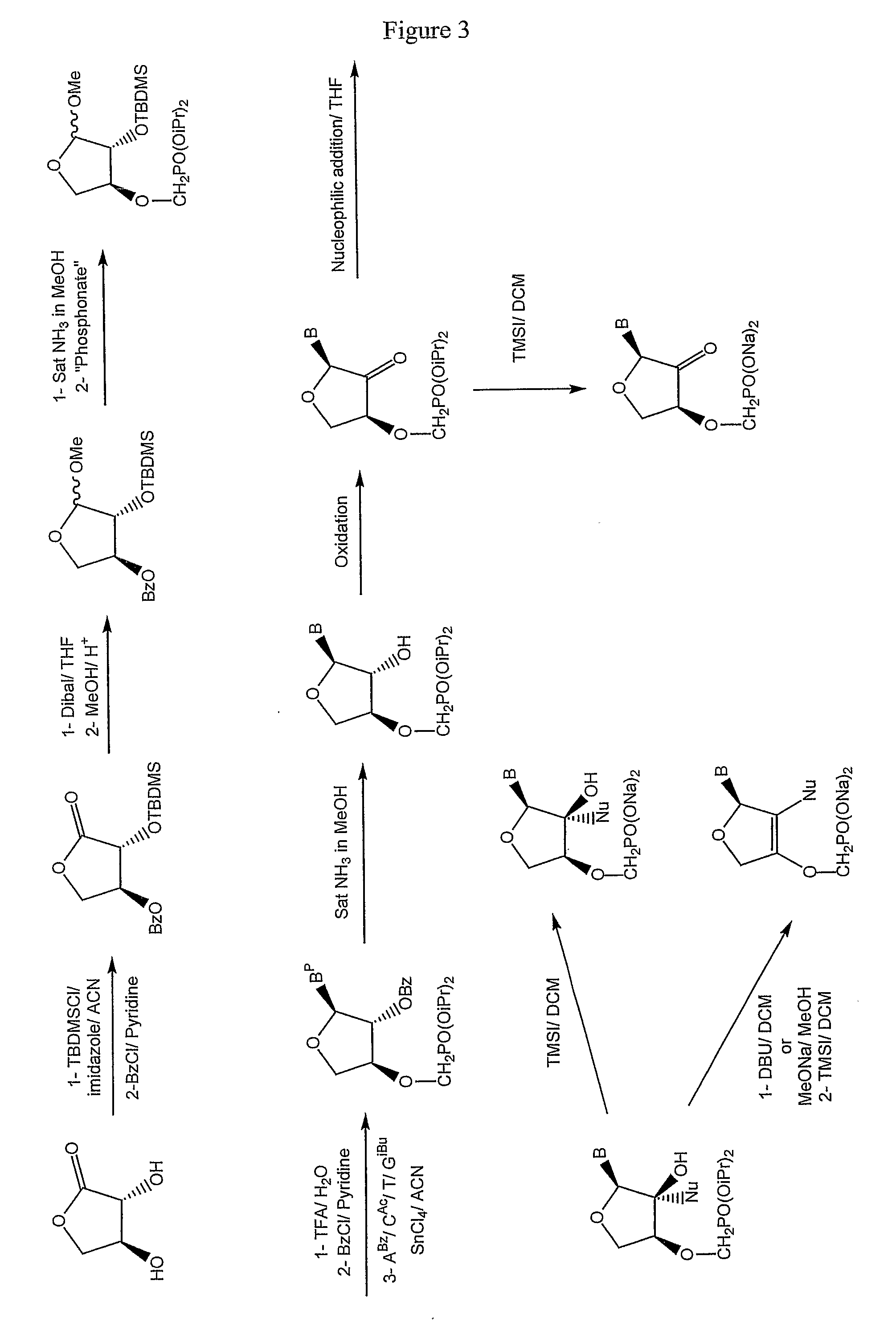 Phosponate nucleosides useful as active ingredients in pharmaceutical compositions for the treatment of viral infections, and intermediates for their production