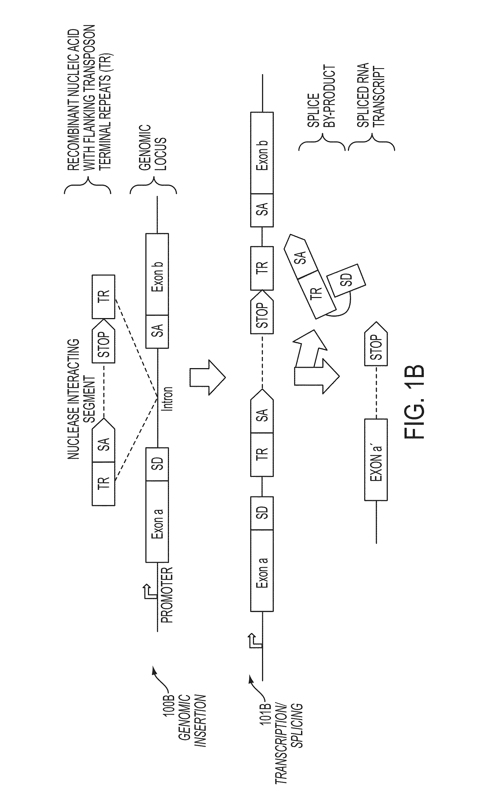 Mutagenesis methods