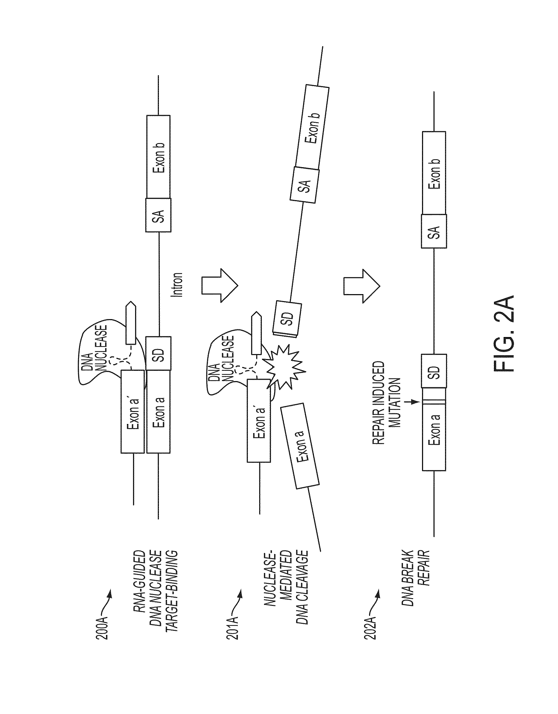 Mutagenesis methods