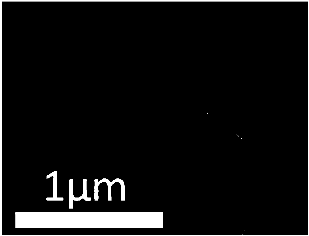 Near-infrared light emitting lanthanum oxysulfide fluorescent powder and method for preparing same