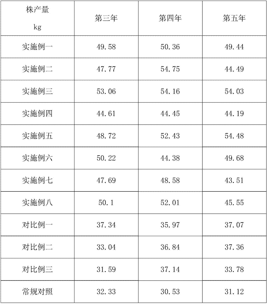 Planting method of preventing and treating cherry crown gall diseases