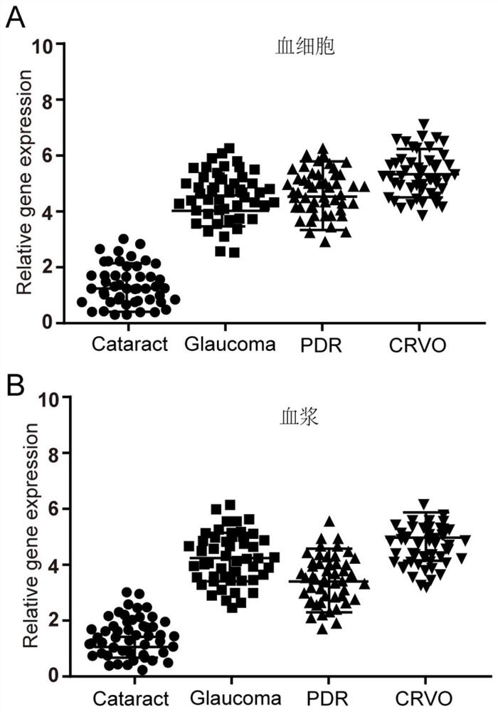 Ischemic retinopathy detection biomarker, detection kit and application