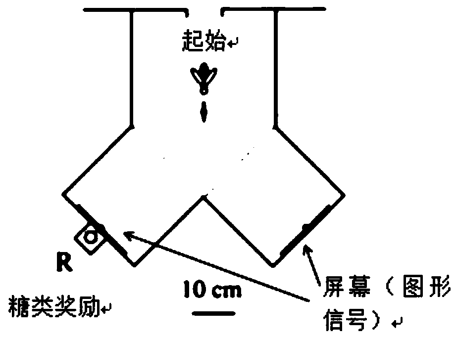 Behavior detection device