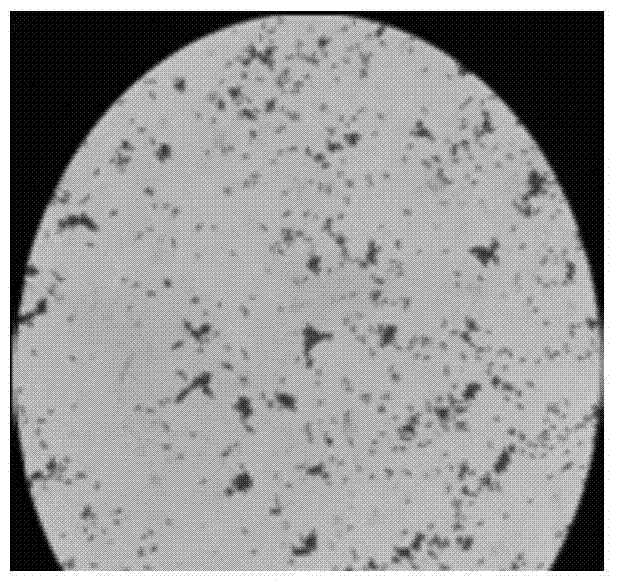 Preparation and application of an anti-peanut continuous cropping compound bacterial agent