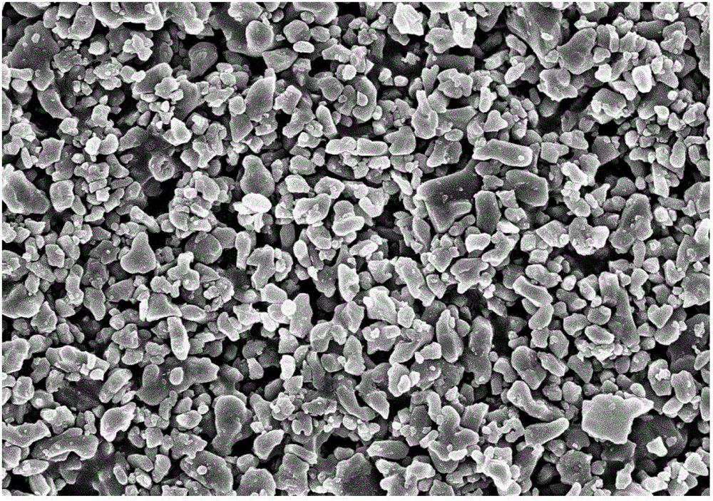 Coated lithium ion battery diaphragm