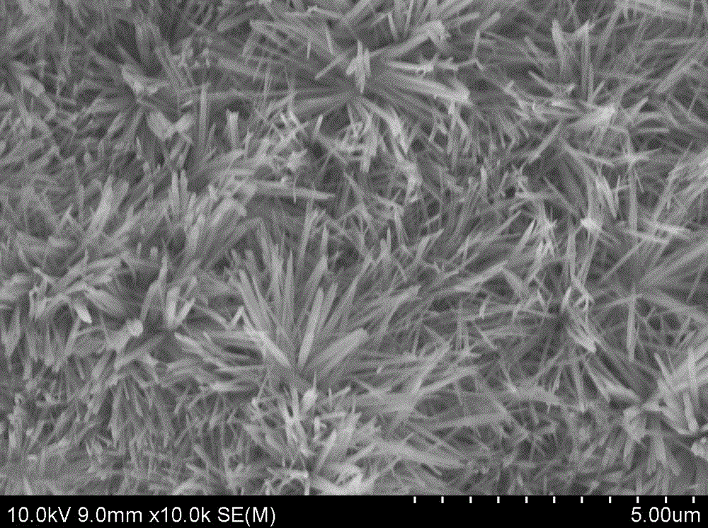 Doped black phosphorus quantum dot thermal treatment syringeability bone cement as well as preparation and application thereof