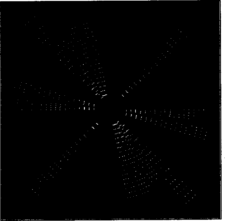 Synchronous self-adaptable watermark method based on image continuity