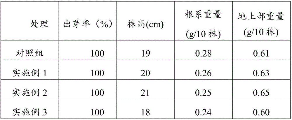 Carbon-based rice seedling raising substrate for rice and preparation method thereof