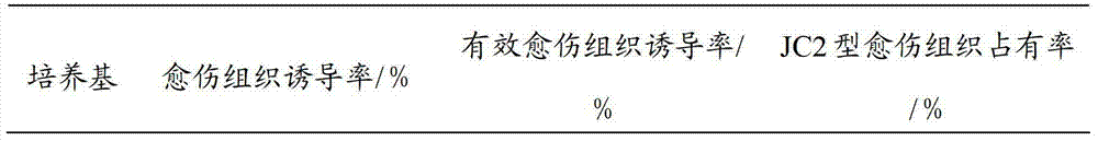 Method for induction and subculture maintenance on jasmine flower calluses