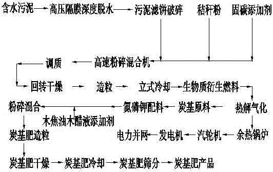 Carbon-based compound fertilizer and biomass gas co-production technology based on municipal sludge